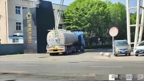 中儲糧發展中的挑戰與責任擔當